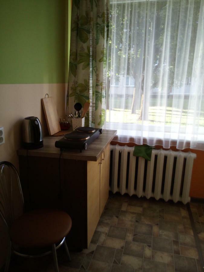 Anykstuko Butas Apartment Anyksciai Exterior photo